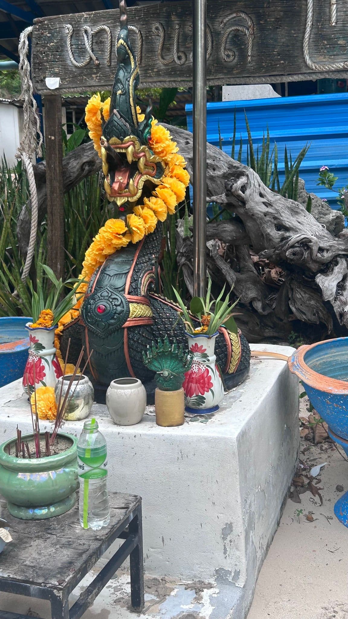 The Naga
